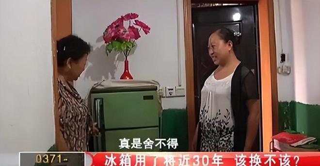 花如今三家易主只剩下一家成为一线品牌凯发K8登录入口中国冰箱界的四朵金(图15)