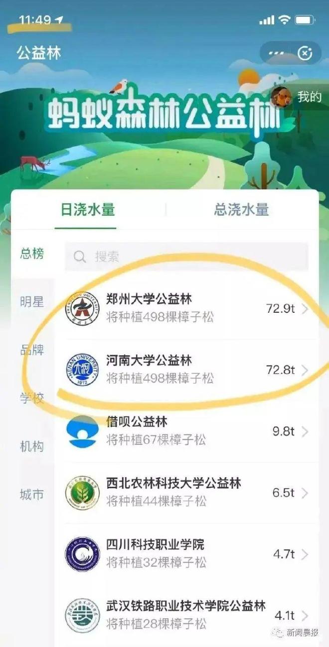 、“中国锦鲤之父”疑似离职阿里创业凯发K8登录“80万蓝V总教头”(图4)